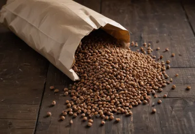 Dry brown lentils spilling from a torn paper sack across a scratched wooden tabletop.
