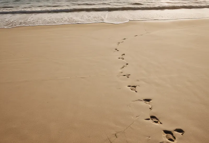 A long line of footprints crossing wet, reflective sand toward the horizon on an empty beach under a low sun