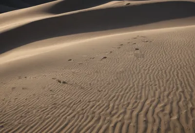 A small dune of fine dry sand in a dark shallow tray, delicate wind ripples running across its face under hard raking light