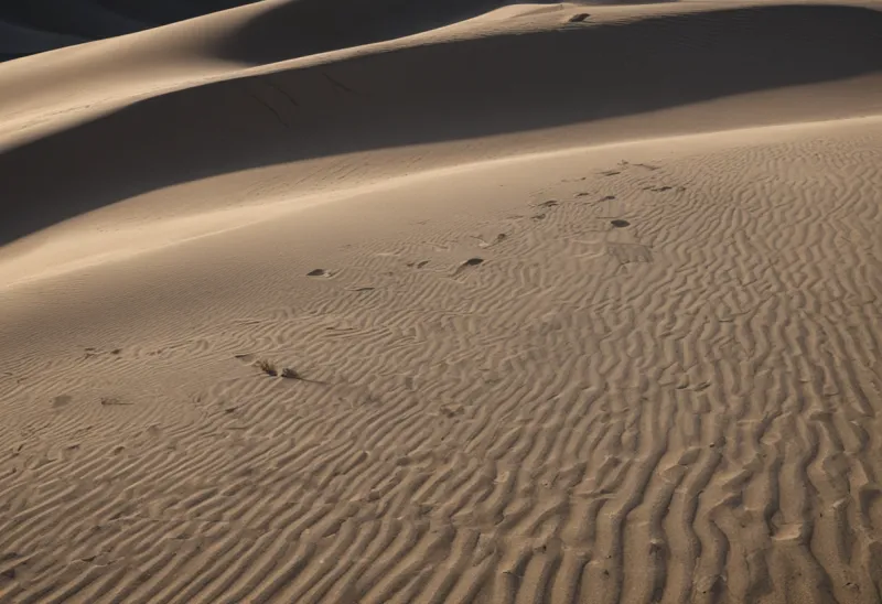 A small dune of fine dry sand in a dark shallow tray, delicate wind ripples running across its face under hard raking light
